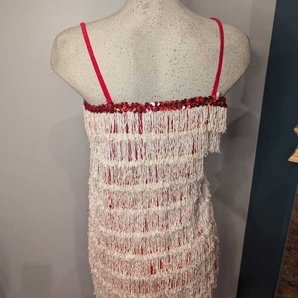 Women’s Red sparkle Fringe 1920’s Flapper Great Gatsby Costume Dress Size XS/S - Picture 9 of 14
